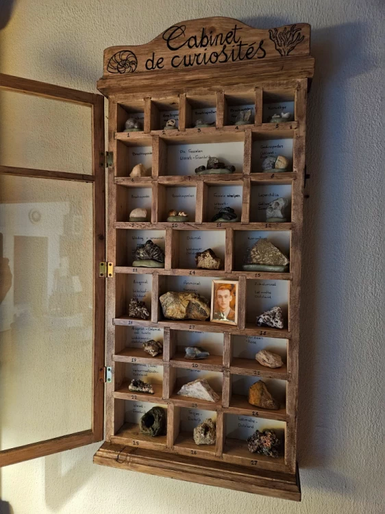 Smalle houten fossielenkast met kleine opbergvakjes